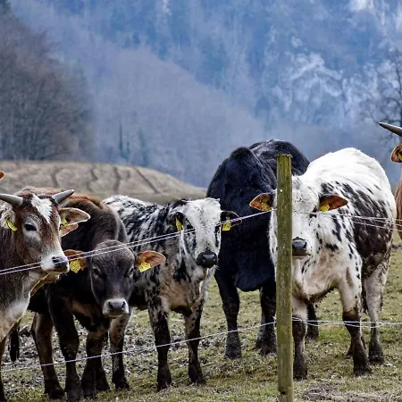 Jaegerhaus Locanda Fridingen an der Donau